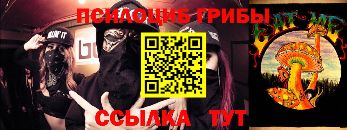 Псилоцибиновые грибы прущие грибы  Вход с VPN  Мытищи 